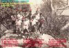 Photo 002